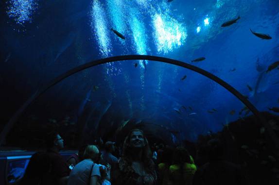 Túnel sob um dos aquários no Aquário de Atlanta, na Georgia - EUA